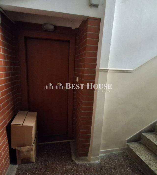 17 A7562.jpg
